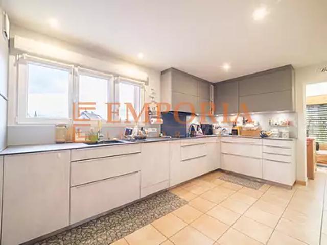 Hésingue 68220 Achat / Vente maison 7 pièces t7 terrasse parking