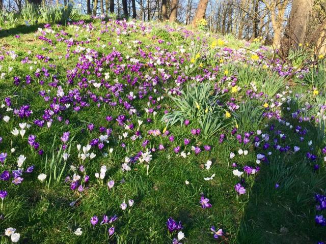 Hesketh Park
