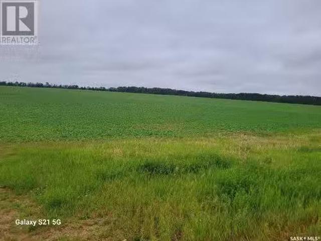 Hewalo Farm, Torch River Rm No. 488, SK, S0J 3B0 farm for sa.