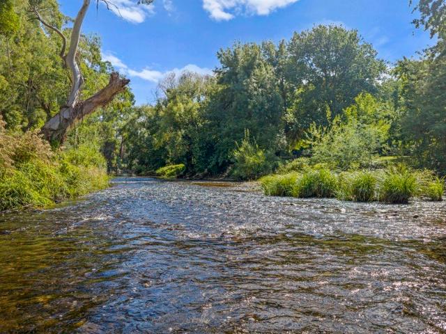 'Hibernia' A Rare Jamieson Riverfront Cottage