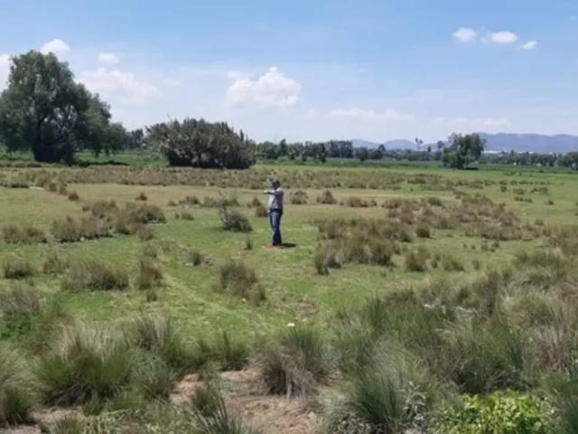 OPORTUNOIDAD DE INVERCION EN ACTOPAN constructor o desarrolladorg en Actopan, Hidalgo 32 Lotes
