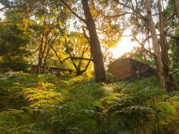 Hidden Cabins A Thriving Lifestyle Business with Exceptional Growth Potential