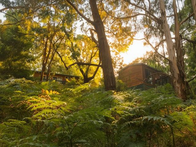 Hidden Cabins A Thriving Lifestyle Business with Exceptional Growth Potential