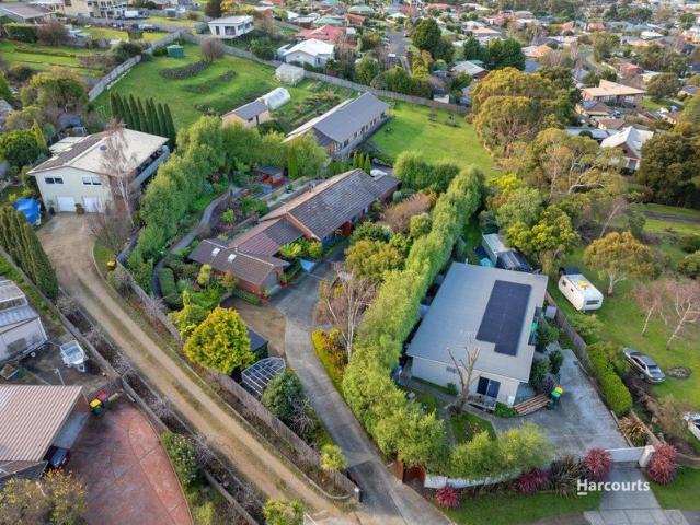 Hidden Oasis in the Heart of Kingston
