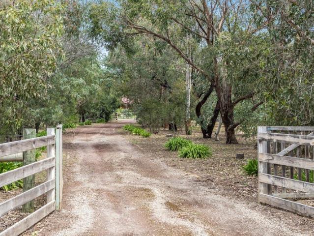 Hidden Oasis on 3 Acres