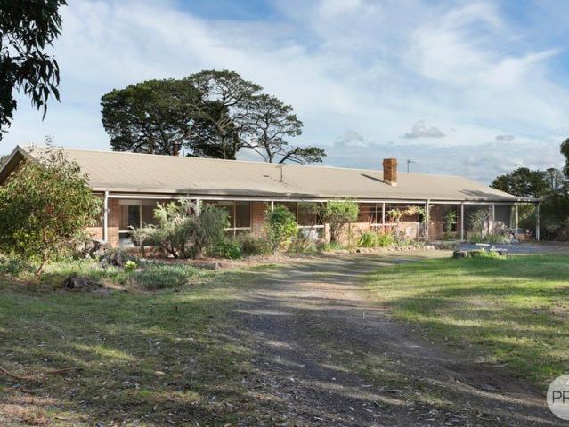 Hidden Lifestyle Gem on 5 Acres in Quiet Court Location
