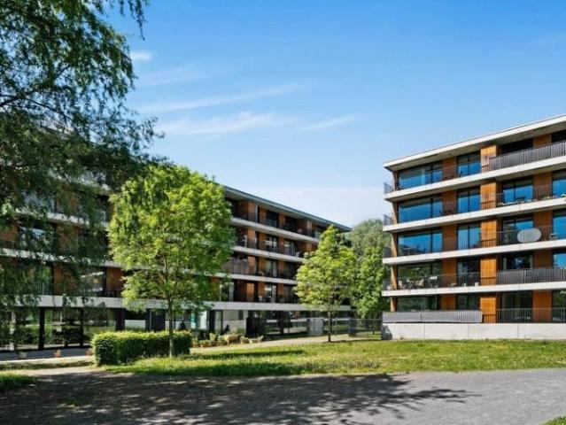 Hier endet Ihre Wohnungssuche