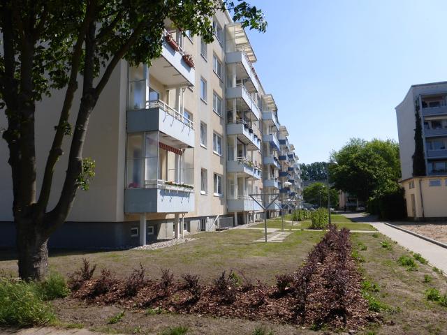 Hier finden Sie ein neues Zuhause!