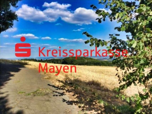 Hier könnte Ihr neues Eigenheim entstehen