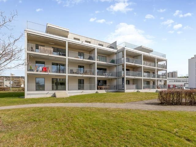 Hier wartet Ihr neues Zuhause auf Sie