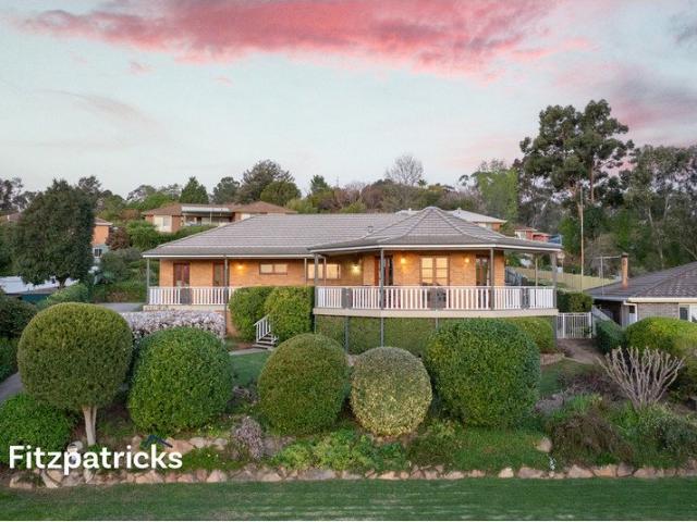High on the Hill and Space for the Whole Family!