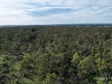 High Conservation Value Bush Block Preserve Nature's Wonderland