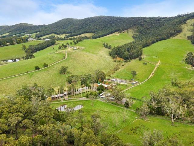 High Country Appeal in the Yarra Valley