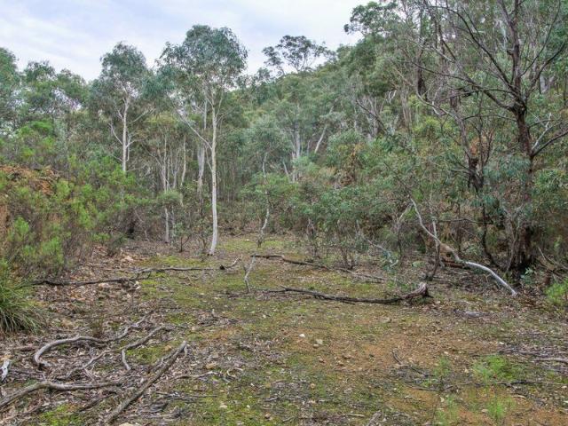 HIGH COUNTRY BUSH BLOCK ON THE EDGE OF STATE FOREST