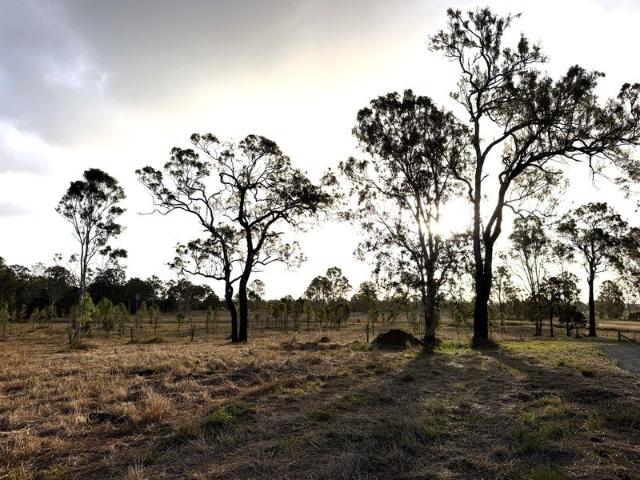 High Exposure Acreage with Scenic Views