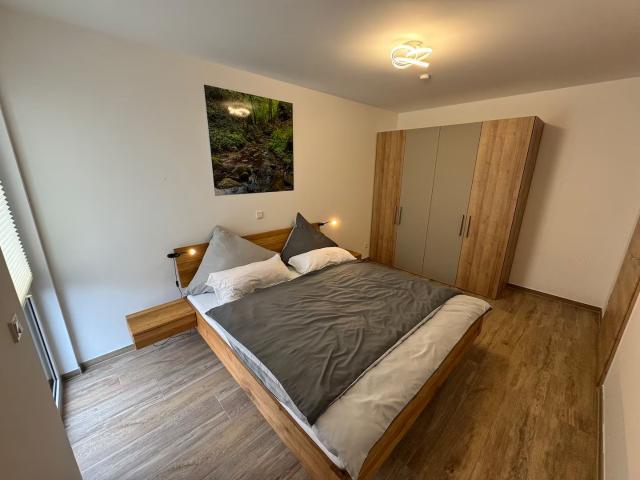 High Quality Business Premium Apartment with Balcony for Long Stay in Saarburg