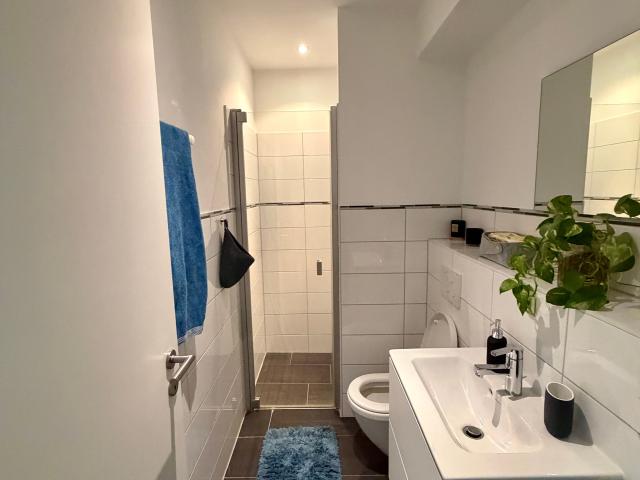 High quality furnished 3 room apartment in Frankfurt with home office, balcony & underground parking