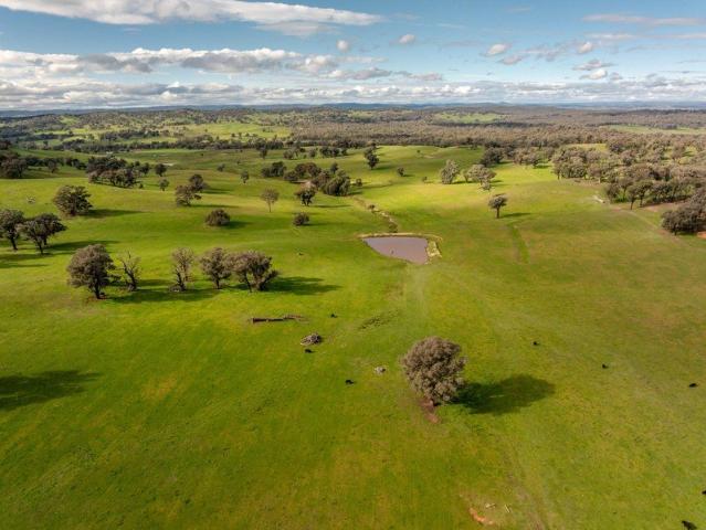 High rainfall grazing investment