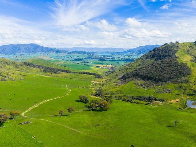 HIGH RAINFALL GRAZING IN THE UPPER MURRAY REGION