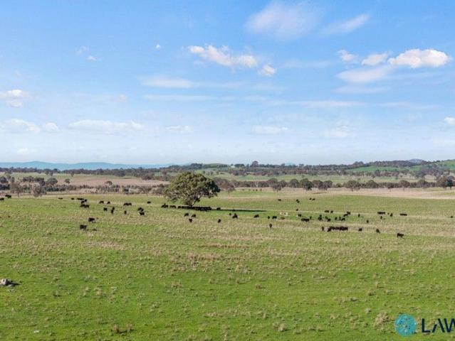 High Rainfall Grazing with Renewable Energy Upside