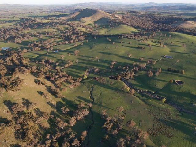 HIGH RAINFALL GRAZING & WIND INCOME