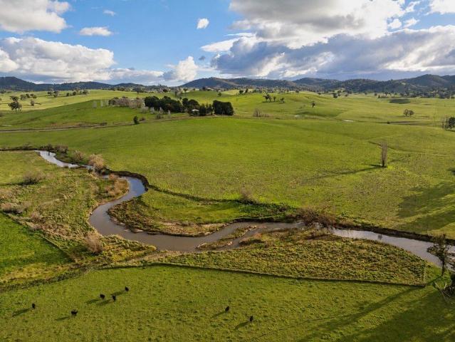 High rainfall improved grazing