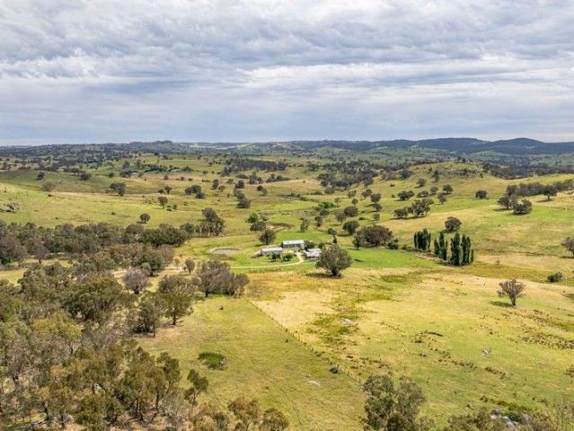 High Rainfall Livestock Breeding & Grazing Enterprise in the Southern Tablelands