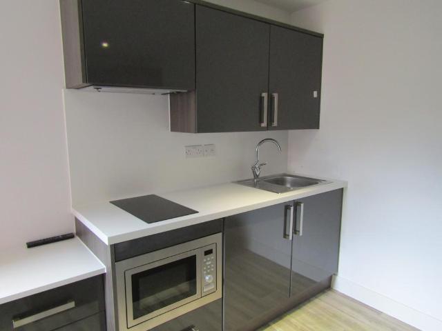 High Road Studio to rent £932 pcm £215 pw