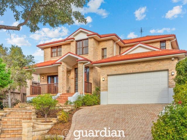 High side family entertainer in CTHS catchment