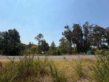 Mallacoota, Genoa, East Gippsland, Victoria