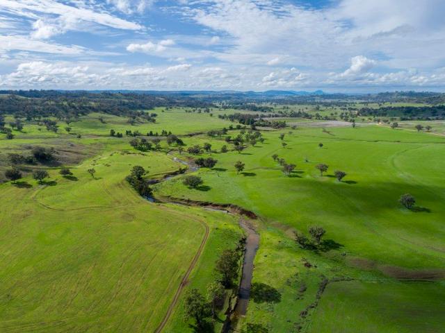 HighCapacity 1,840ha Grazing Powerhouse with Exceptional Water, Infrastructure & Biodiversity Upside