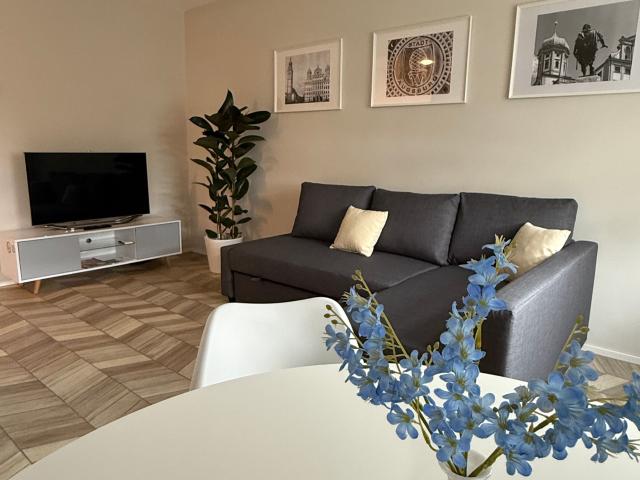 Highfield Apartment 2 rooms bright studio between center and university