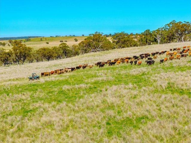 Highfields Prime Rural Holding in Merriwa, NSW