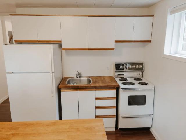 Highlands Bright Mid Century Basement Suite Close to Concordia and LRT