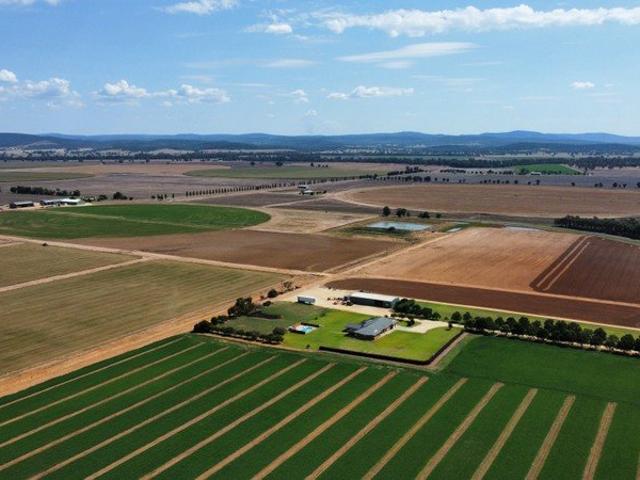 HIGHLY DEVELOPED IRRIGATION FARM! BUY in part or as a whole