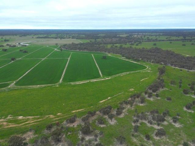 Highly Productive Farmland with Extensive Creek Frontages | 1,013Ha /2,503Ac