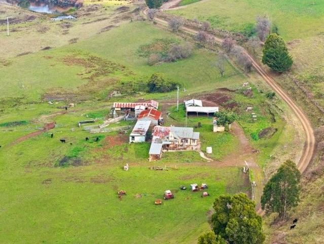 Highly productive grazing ready for your stamp!