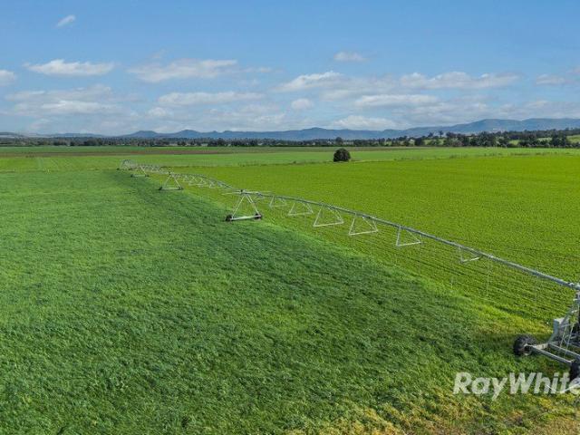 Highly Productive Irrigation Property with Extensive Water Entitlement