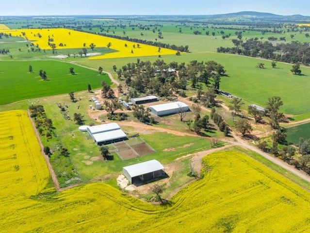 Highly Versatile Eastern Riverina Holding 1,593.33*Ha | 3,937.13*Ac