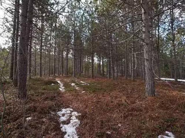 Highway 201, South Farmington, NS, B0P 1W0 vacant land for s.