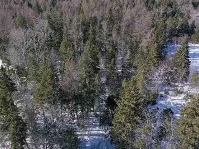Highway 4, Mcintyre Lake, Cleveland, NS, B0E 1J0 vacant land.