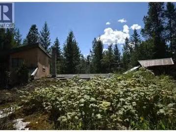 Highway 6, Lemon Creek, BC, V0G 2C0 vacant land for sale Li.