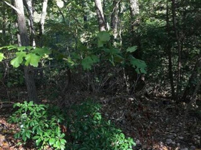 Highview Ave Lot, Beltsville, Plot For Sale