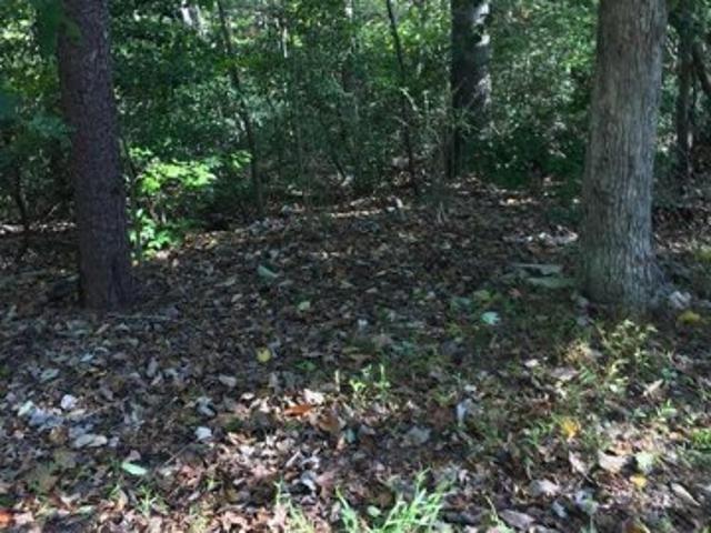 Highview Ave Lot, Beltsville, Plot For Sale