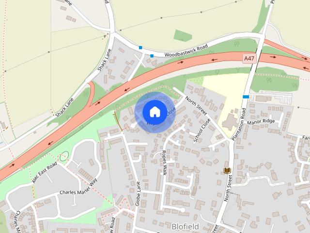 Highview Close, NR13 4RA