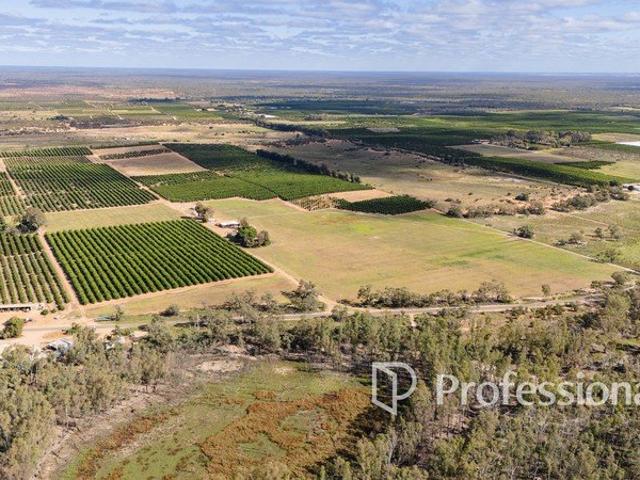 Hillcrest Prime Citrus Holding 80.94Ha 200 Acres