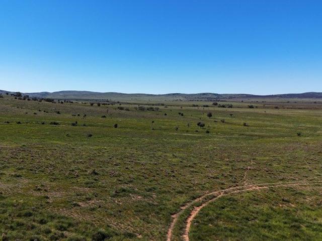 'Hills & Super Shed Paddock'