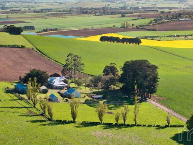Hillside