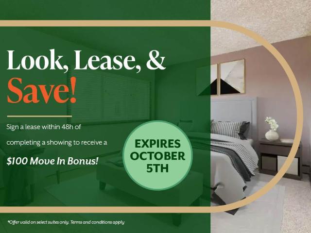 Hillside Bachelor Apartment for Rent