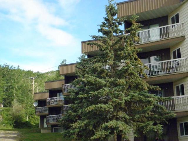 Hillside Manor 2 Bedroom Apartment for Rent